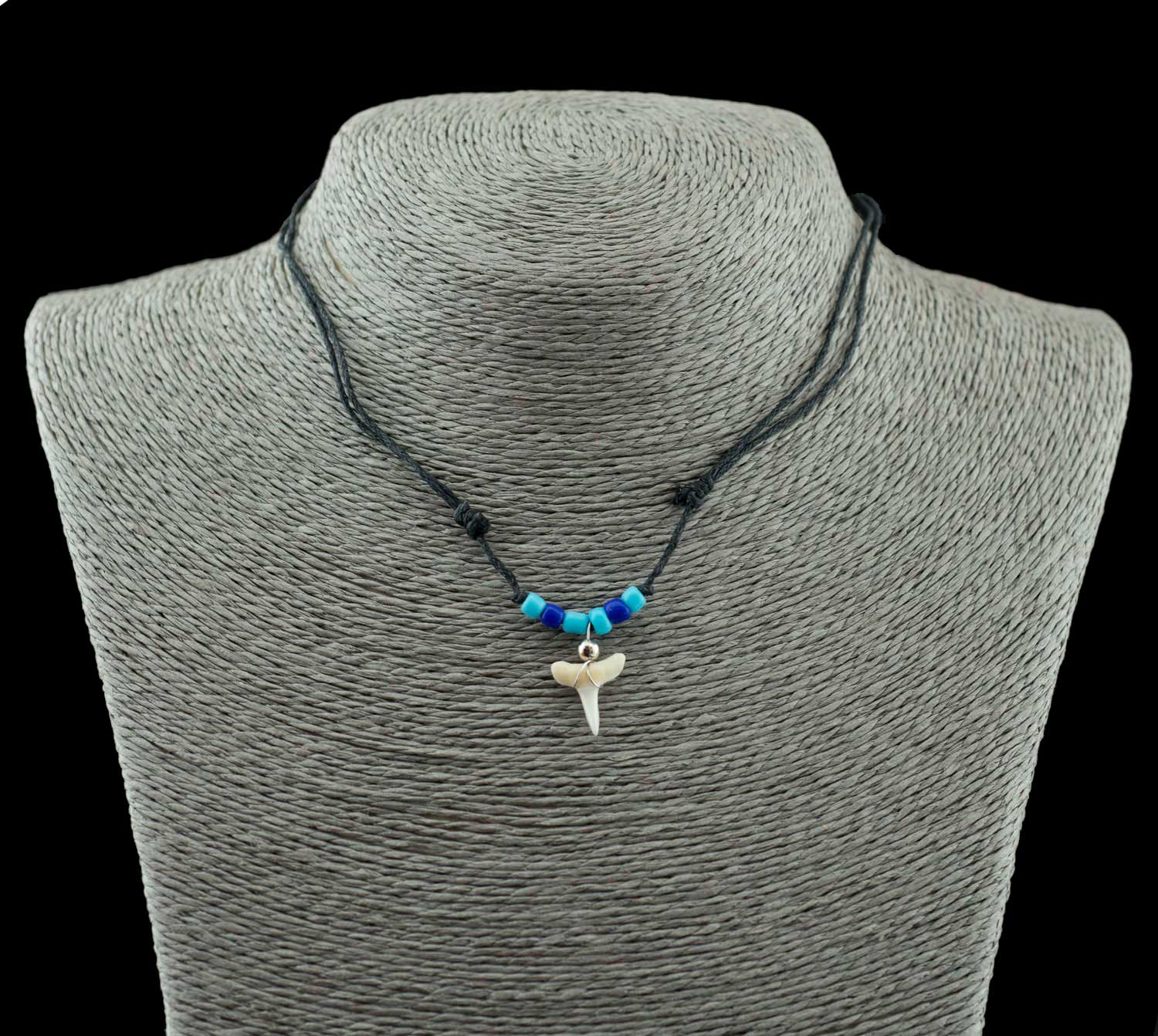 Collier dent de requin véritable,taille réglable,marron