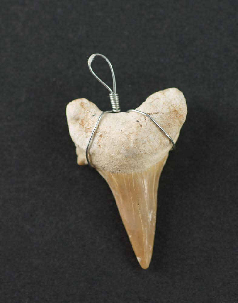Collier Pendentif Dent De Requin Naturel Avec Cordon Cuir - Bijou Unisexe Style Exotique, Pour Hommes Et Femmes - 9